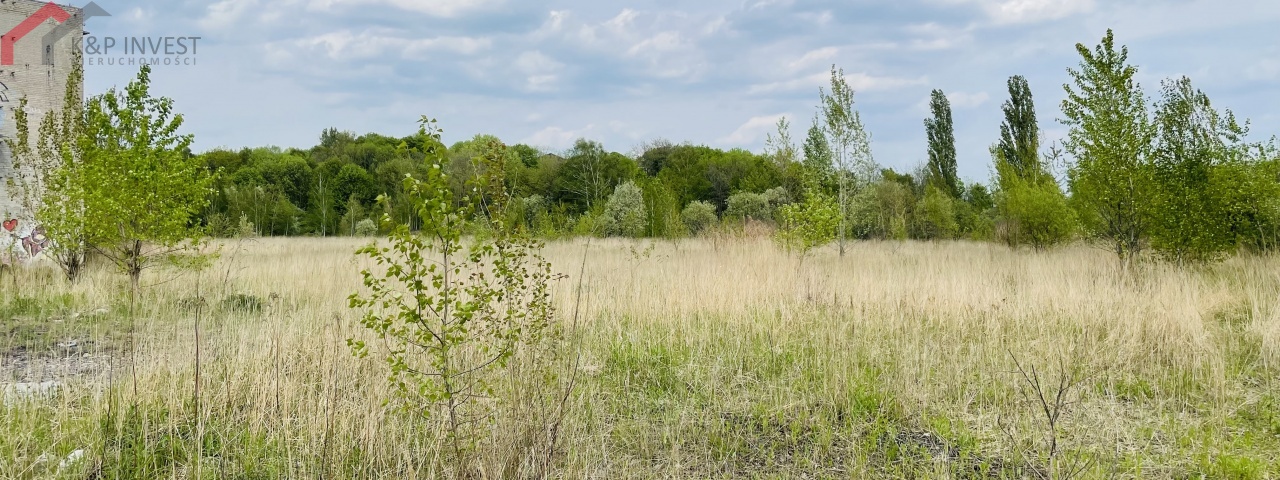 Piekary Śląskie, śląskie, ,Działka,Sprzedaż,2025