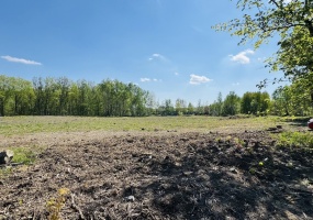 Katowice, śląskie, 0 , 0 ,0,Działka,Sprzedaż,2090