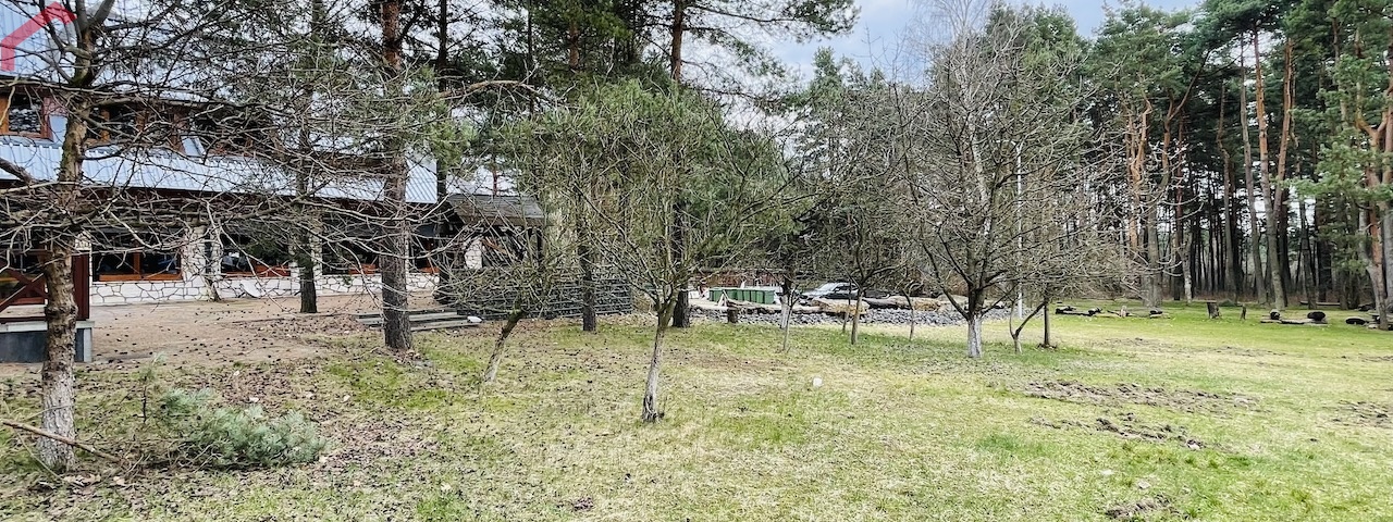 Siewierz, śląskie, ,Lokal/biuro,Sprzedaż,2217
