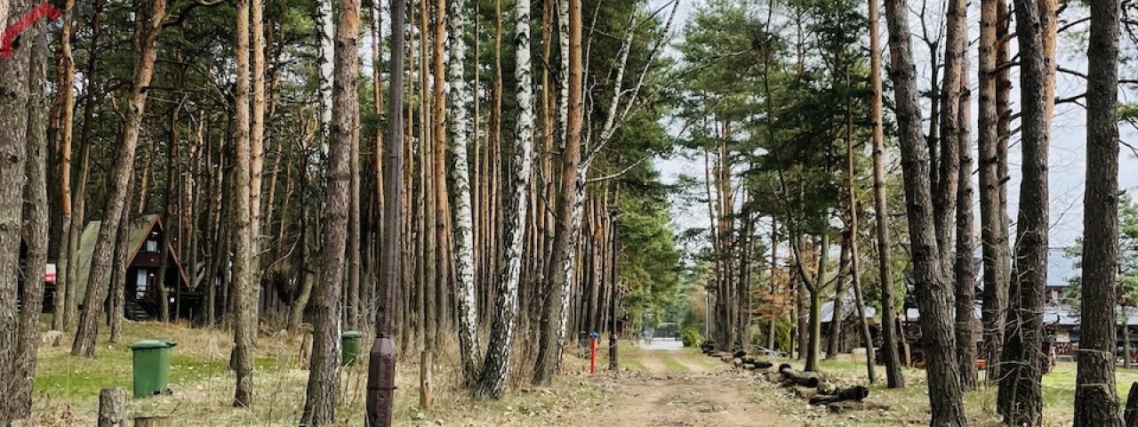 Siewierz, śląskie, ,Lokal/biuro,Sprzedaż,2217