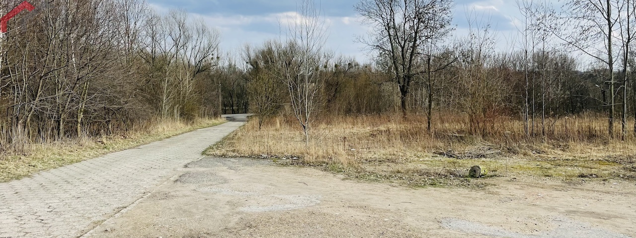 Bytom, śląskie, ,Działka,Sprzedaż,2219
