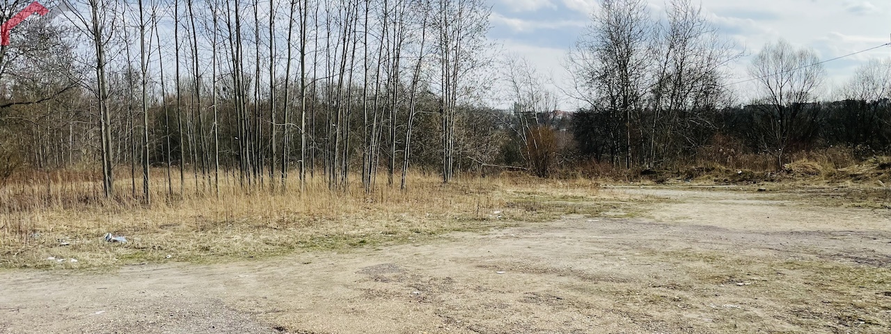 Bytom, śląskie, ,Działka,Sprzedaż,2219