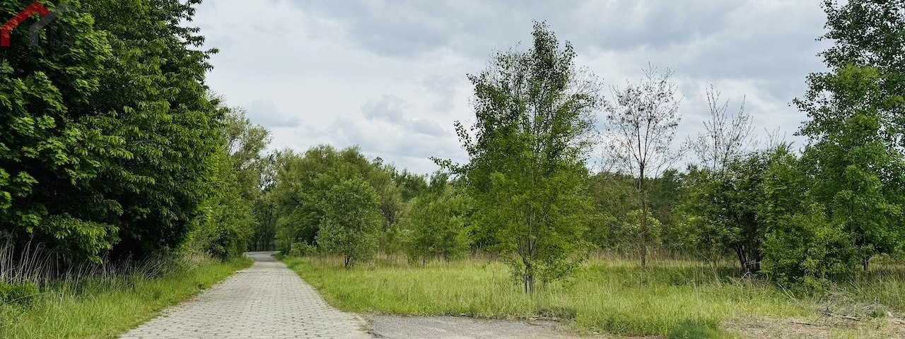 Bytom, śląskie, ,Działka,Sprzedaż,2219