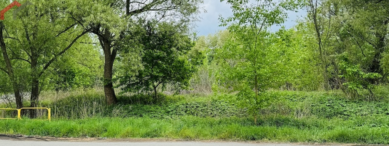 Bytom, śląskie, ,Działka,Sprzedaż,2219