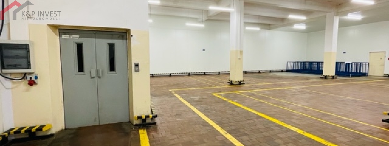 Chorzów, śląskie, ,Hala/magazyn,Wynajem,2220