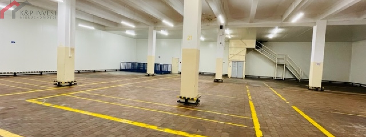 Chorzów, śląskie, ,Hala/magazyn,Wynajem,2220