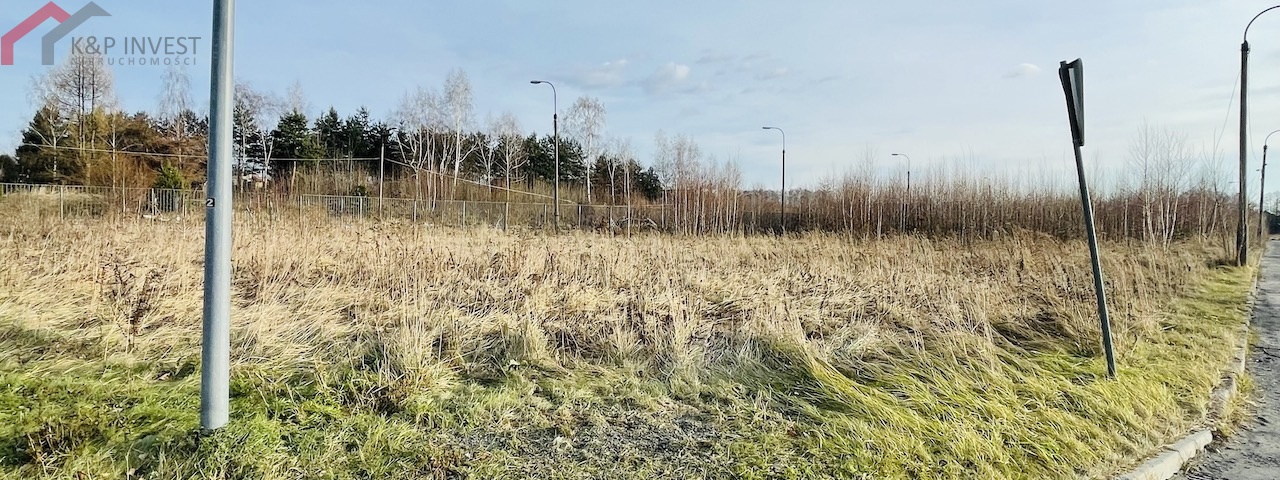 Żory, śląskie, 0 , 0 ,0,Działka,Sprzedaż,2236