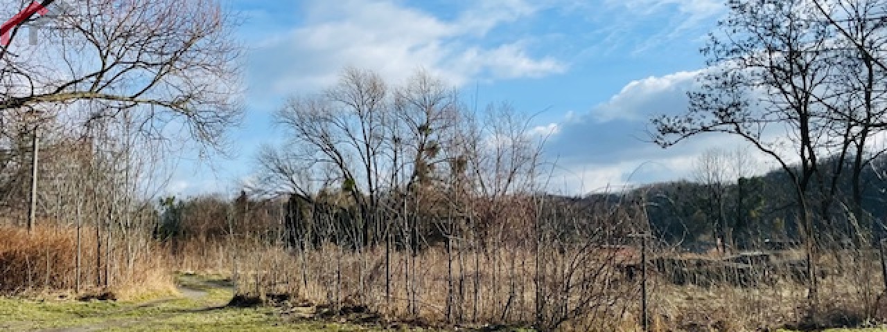Tarnowskie Góry, śląskie, ,Działka,Sprzedaż,2291
