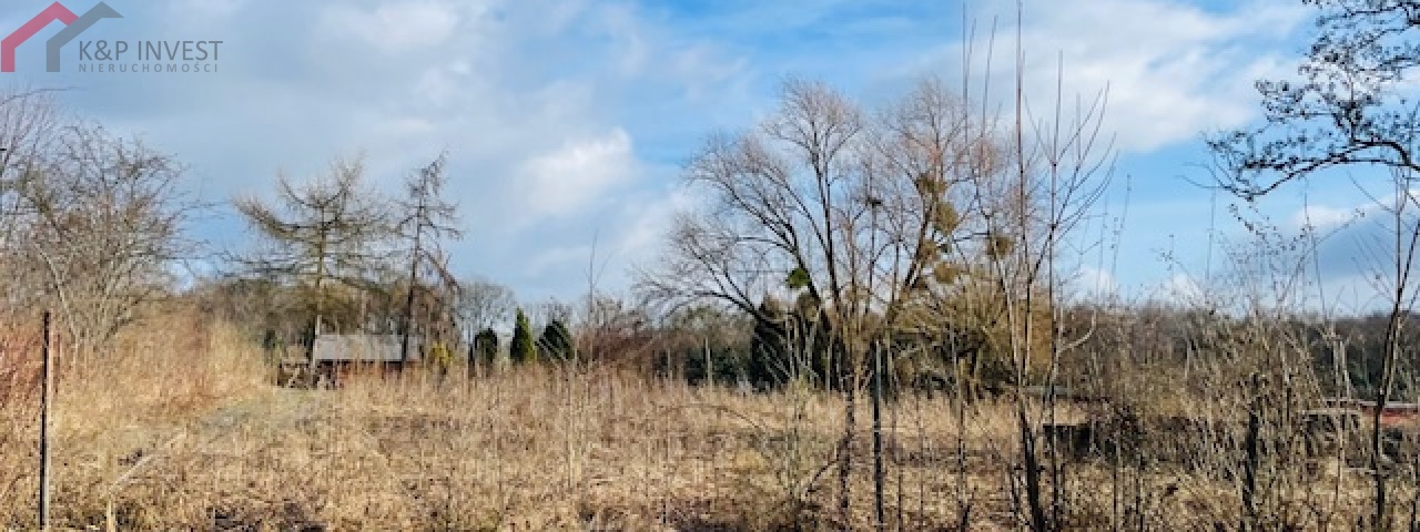 Tarnowskie Góry, śląskie, ,Działka,Sprzedaż,2291