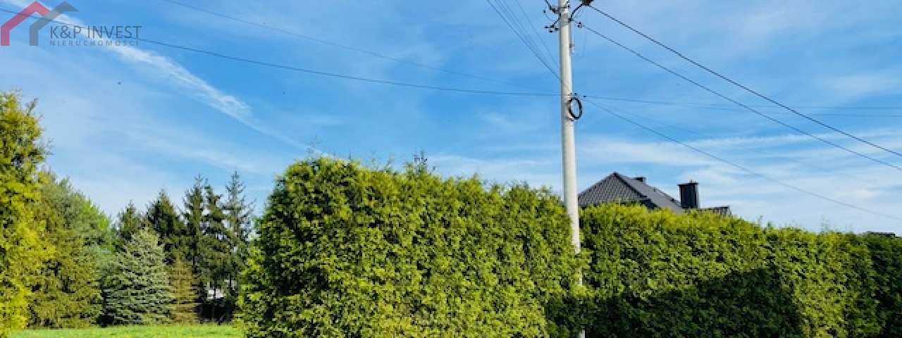 Połomia, śląskie 42-690, 0 , 0 ,0,Działka,Sprzedaż,2306