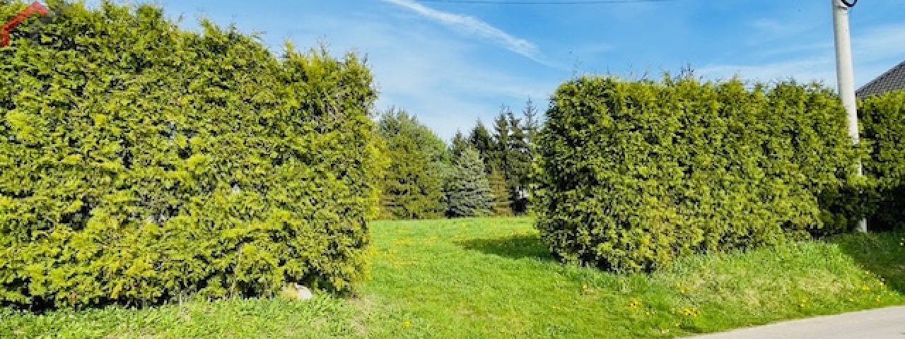 Połomia, śląskie 42-690, 0 , 0 ,0,Działka,Sprzedaż,2306