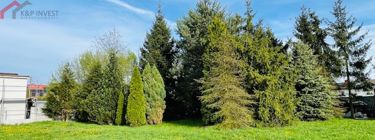 Połomia, śląskie 42-690, 0 , 0 ,0,Działka,Sprzedaż,2306