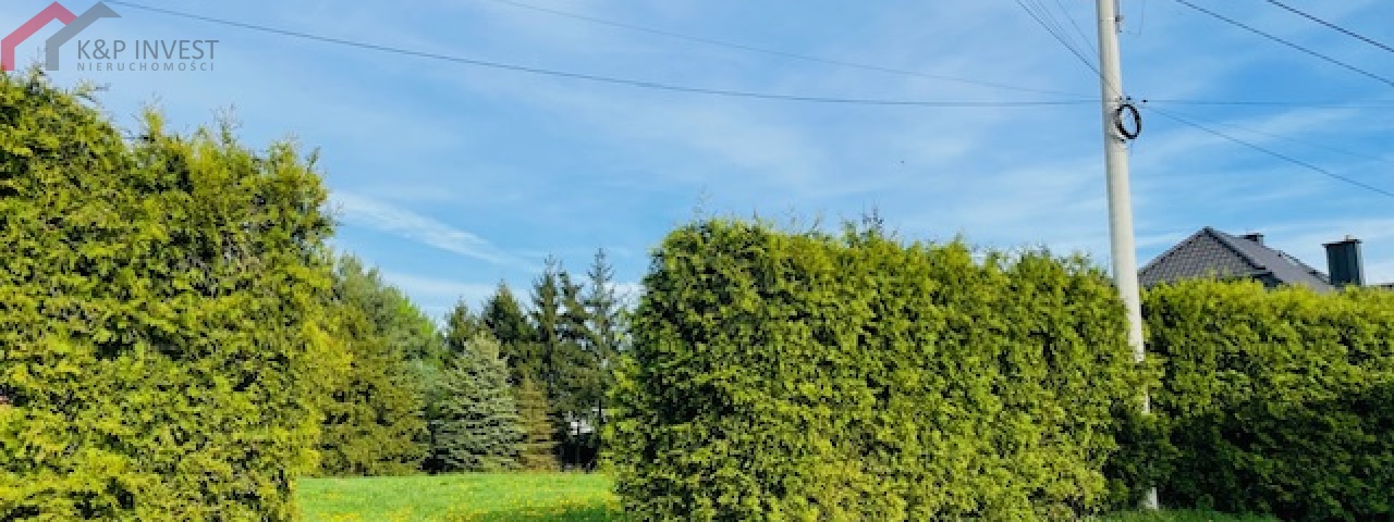 Połomia, śląskie 42-690, 0 , 0 ,0,Działka,Sprzedaż,2306