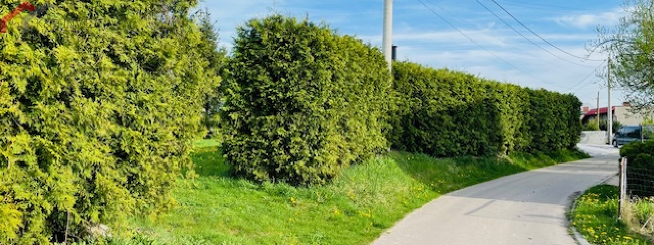 Połomia, śląskie 42-690, 0 , 0 ,0,Działka,Sprzedaż,2306