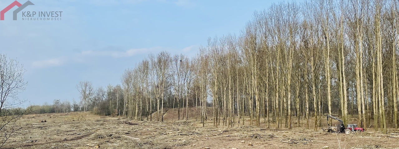 Radzionków, śląskie, ,Działka,Sprzedaż,2312