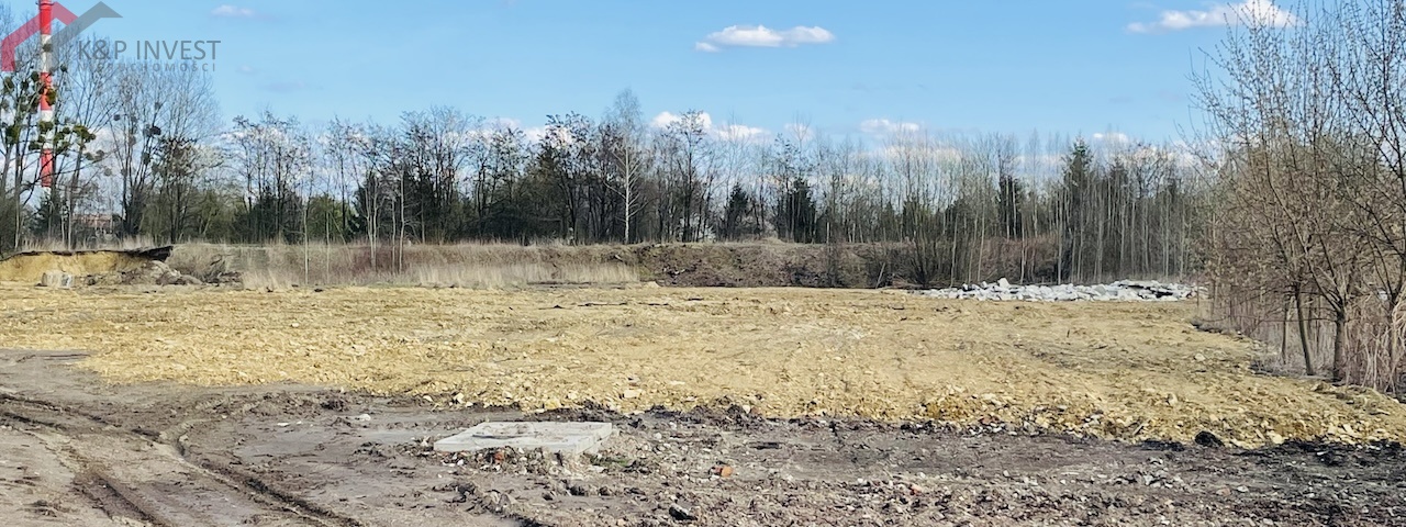 Bytom, śląskie, ,Działka,Sprzedaż,2318