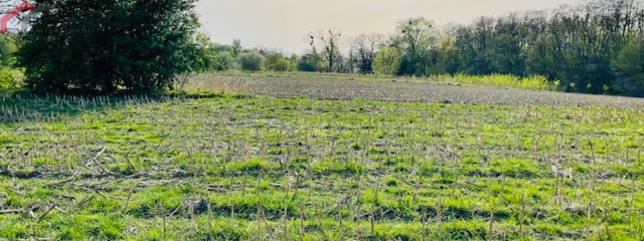 Zabrze, śląskie, ,Działka,Sprzedaż,2330