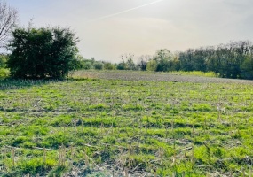 Zabrze, śląskie, ,Działka,Sprzedaż,2330