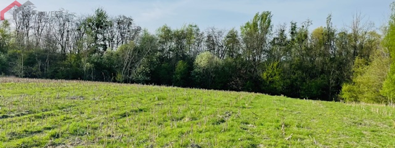 Zabrze, śląskie, ,Działka,Sprzedaż,2330