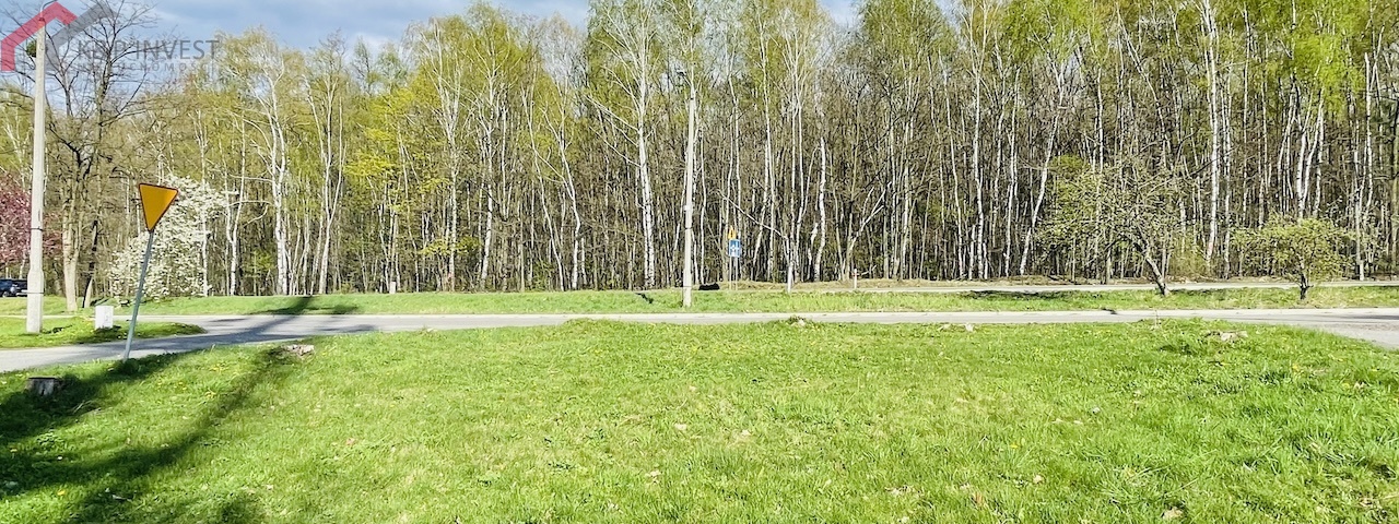 Tarnowskie Góry, śląskie, ,Działka,Sprzedaż,2332
