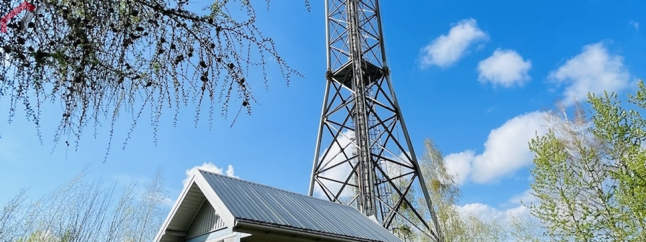 Tarnowskie Góry, śląskie, ,Działka,Sprzedaż,2332