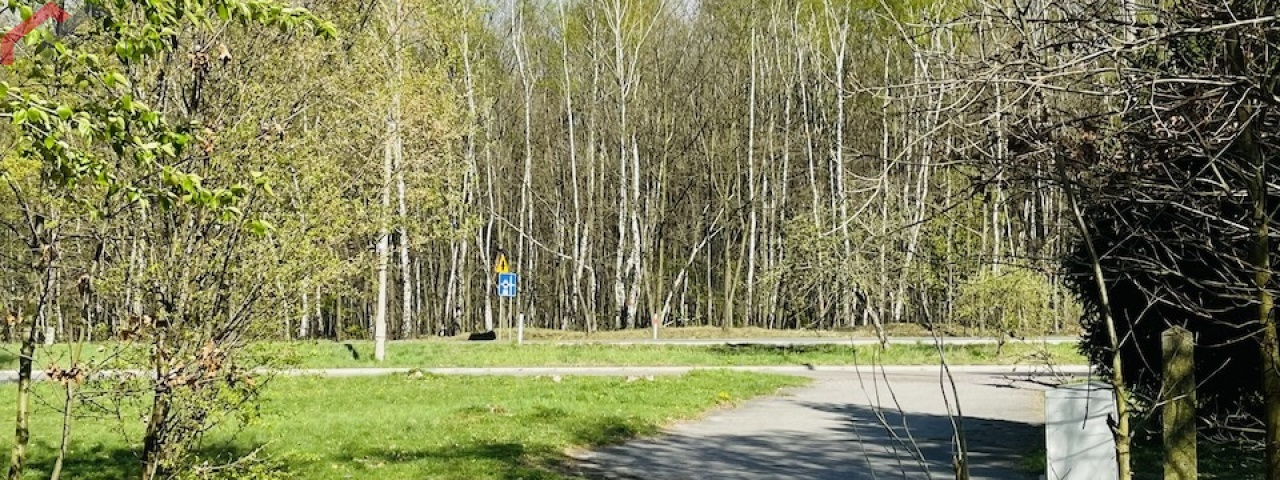 Tarnowskie Góry, śląskie, ,Działka,Sprzedaż,2332
