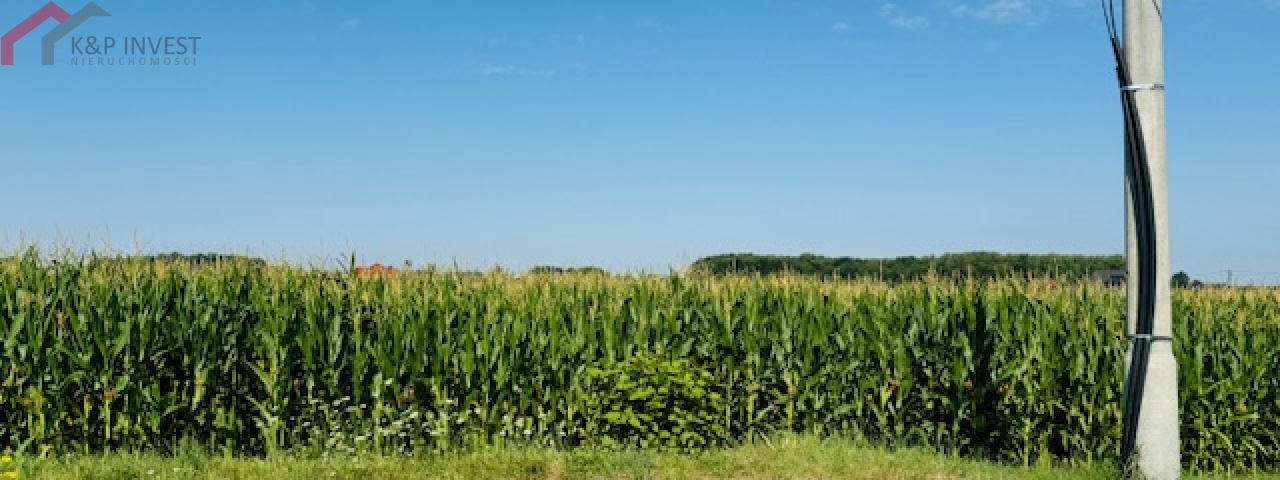 Tarnowskie Góry, śląskie, ,Działka,Sprzedaż,2357