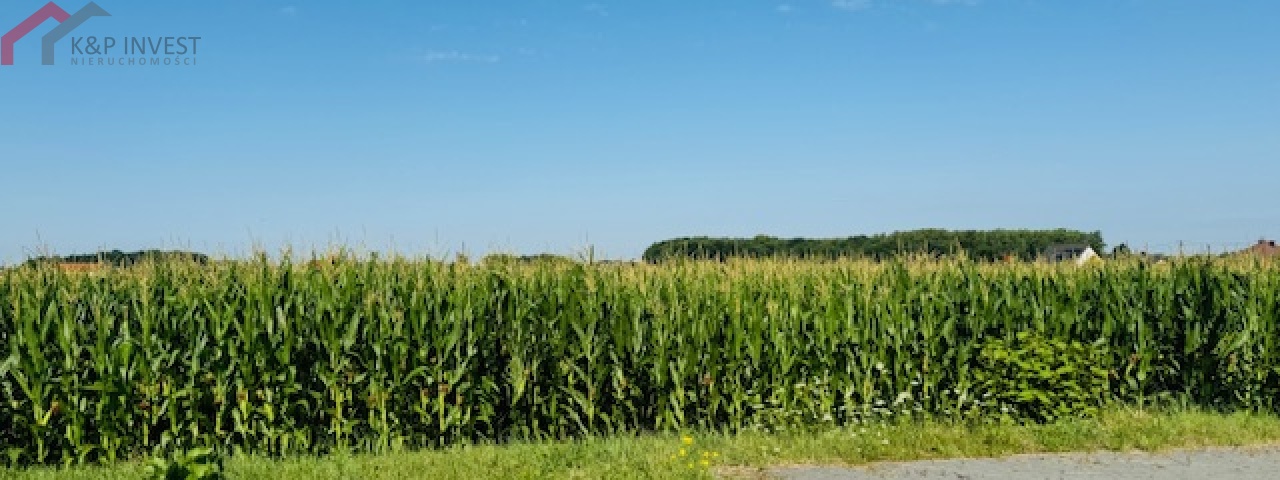 Tarnowskie Góry, śląskie, ,Działka,Sprzedaż,2357