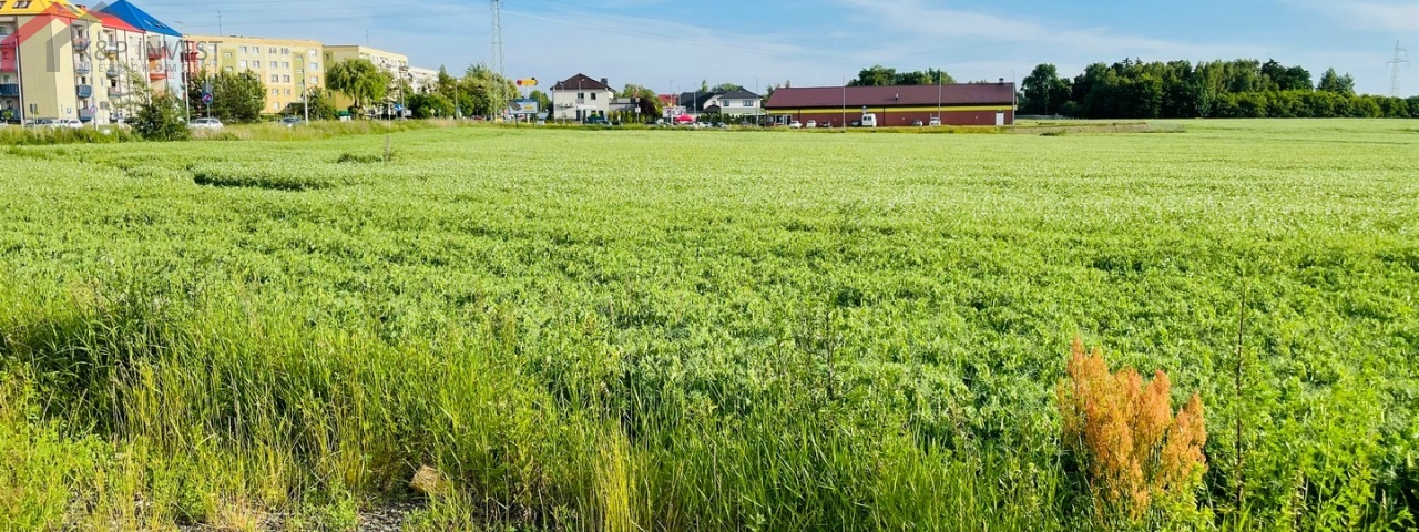 Tarnowskie Góry, śląskie, ,Działka,Sprzedaż,2357