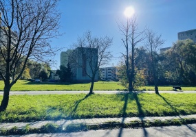 Zabrze, śląskie, ,Działka,Sprzedaż,2389