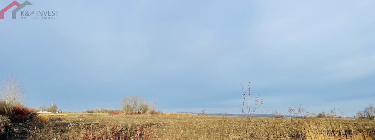 Piekary Śląskie, śląskie, ,Działka,Sprzedaż,2396