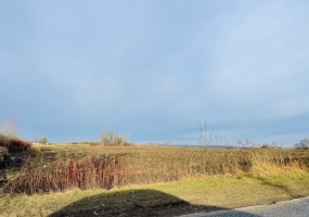 Piekary Śląskie, śląskie, ,Działka,Sprzedaż,2396