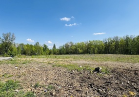 Katowice, śląskie, 0 , 0 ,0,Działka,Sprzedaż,2397