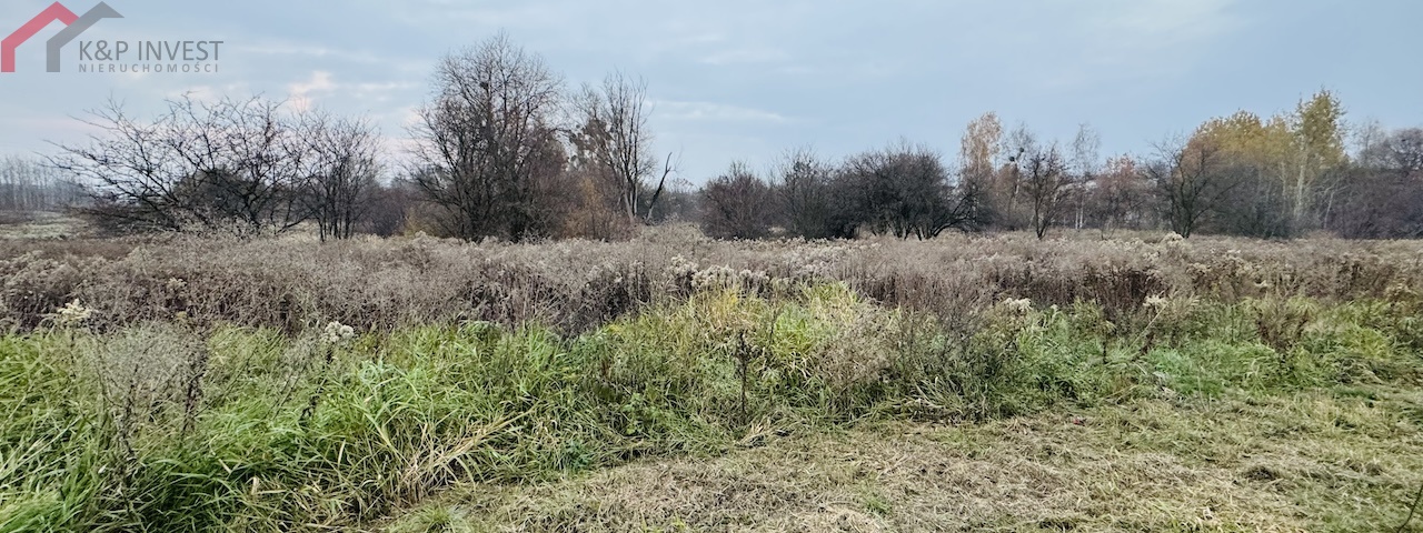 Piekary Śląskie, śląskie, ,Działka,Sprzedaż,2398