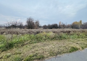 Piekary Śląskie, śląskie, ,Działka,Sprzedaż,2398