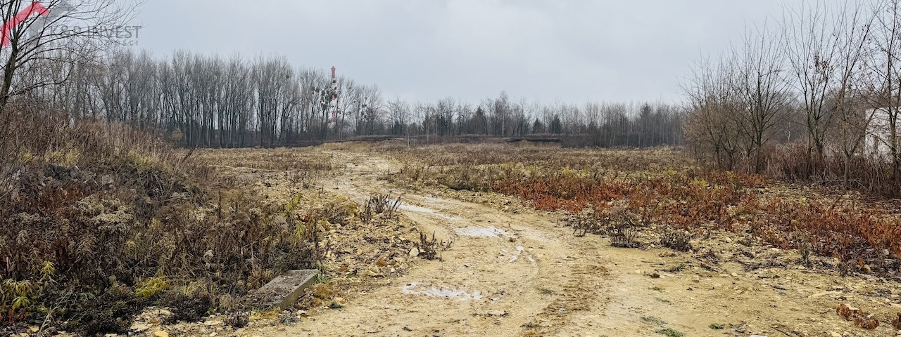 Bytom, śląskie, ,Działka,Sprzedaż,2406