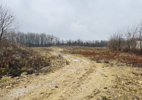 Bytom, śląskie, ,Działka,Sprzedaż,2406