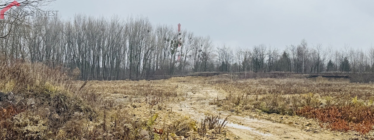Bytom, śląskie, ,Działka,Sprzedaż,2406