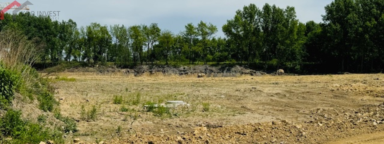 Bytom, śląskie, ,Działka,Sprzedaż,2407