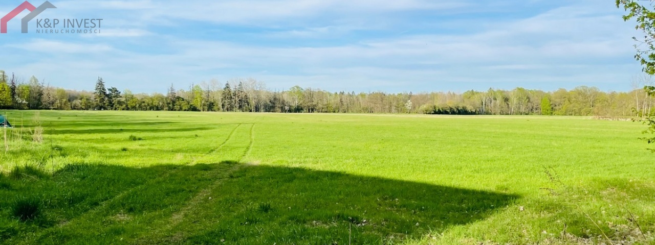 Świerklaniec, śląskie, ,Działka,Sprzedaż,2410