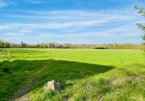 Świerklaniec, śląskie, ,Działka,Sprzedaż,2410