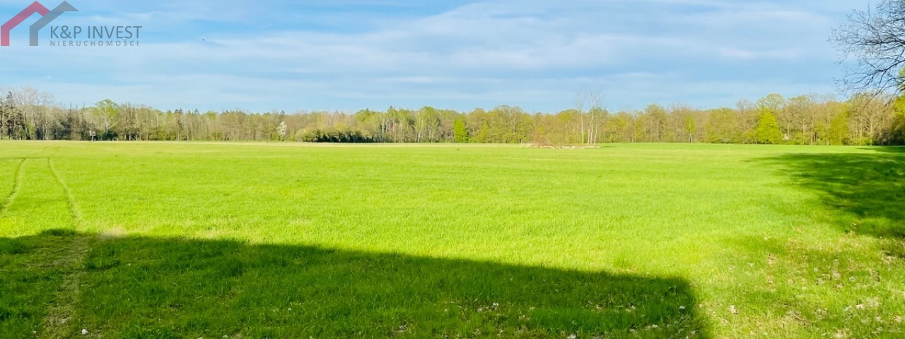 Świerklaniec, śląskie, ,Działka,Sprzedaż,2410