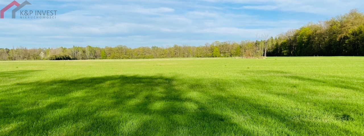 Świerklaniec, śląskie, ,Działka,Sprzedaż,2410