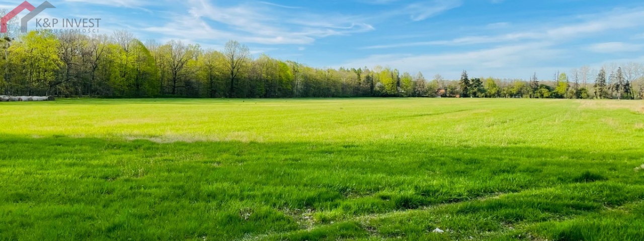 Świerklaniec, śląskie, ,Działka,Sprzedaż,2410