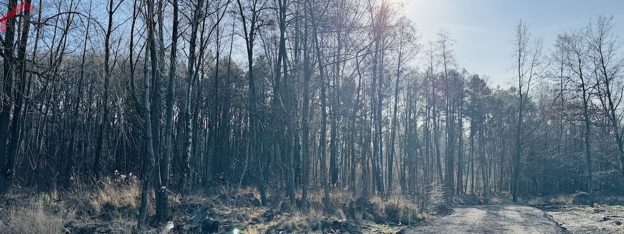 Bytom, śląskie, ,Działka,Sprzedaż,2411