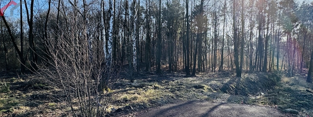 Bytom, śląskie, ,Działka,Sprzedaż,2411
