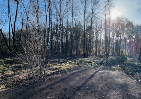 Bytom, śląskie, ,Działka,Sprzedaż,2411