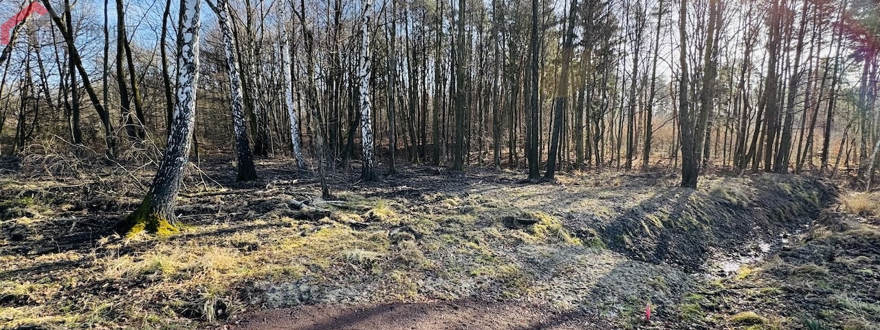 Bytom, śląskie, ,Działka,Sprzedaż,2411