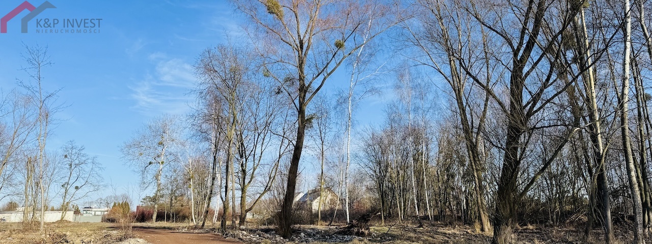 Bytom, śląskie, ,Działka,Sprzedaż,2411