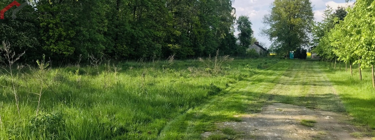 Zbrosławice, śląskie, ,Działka,Sprzedaż,2424